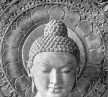 buddha1 buddha1