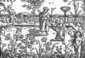 garden01