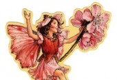 Almond_flower_fairy_garland_350