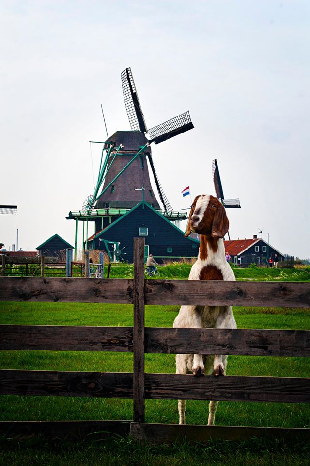 atelier de fotografie urbana