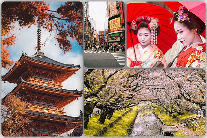 ZEN-ul în cultura şi civilizaţia japoneză